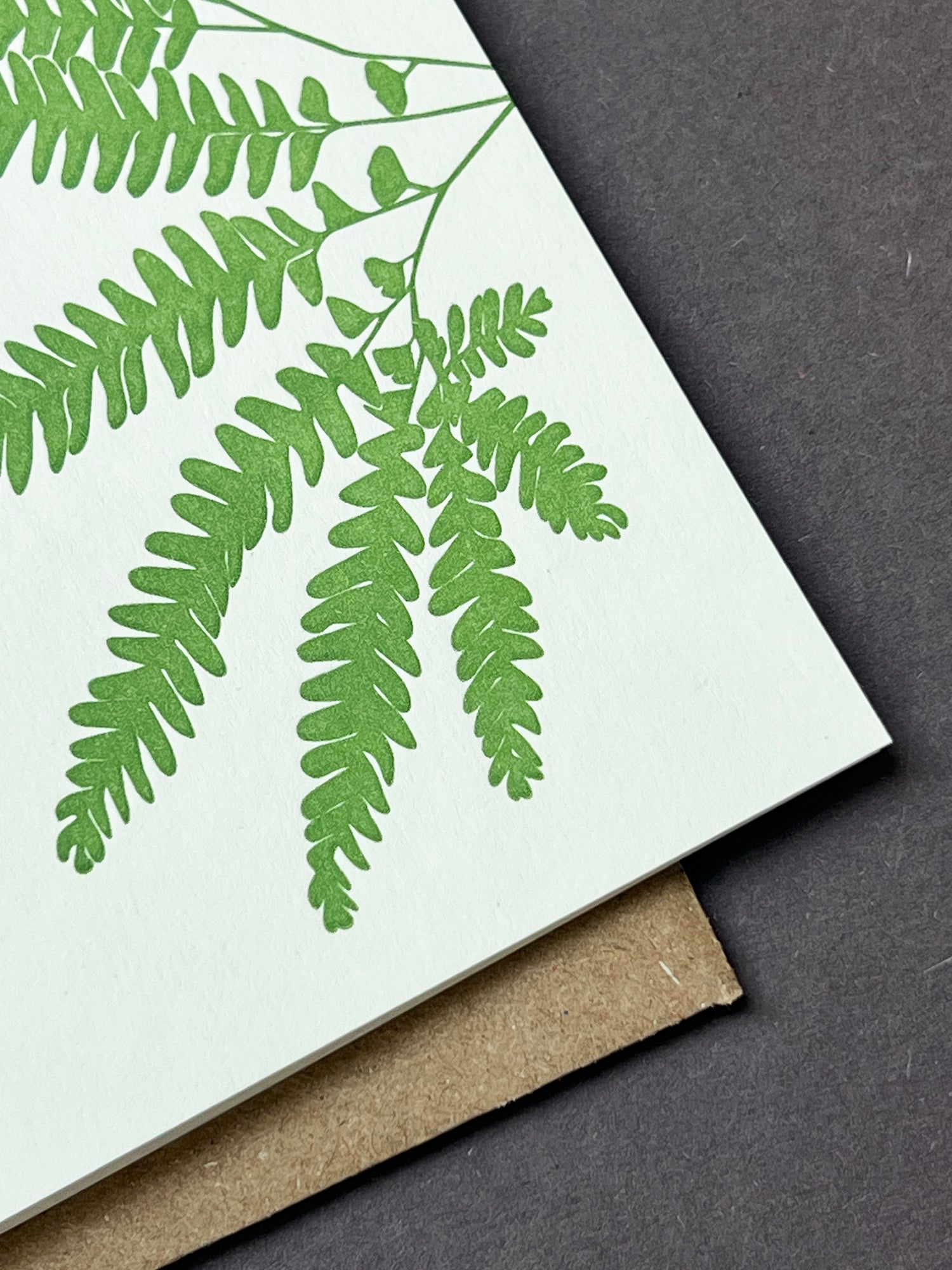 Maidenhair Fern Card