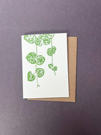 Foliage Notecard Set | Set of 8