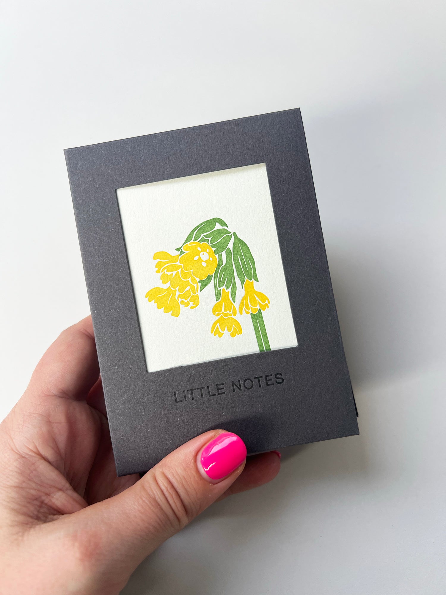 Flower Stems Notecard Set | Set of 8