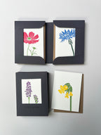 Flower Stems Notecard Set | Set of 8