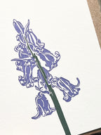 Bluebells Card