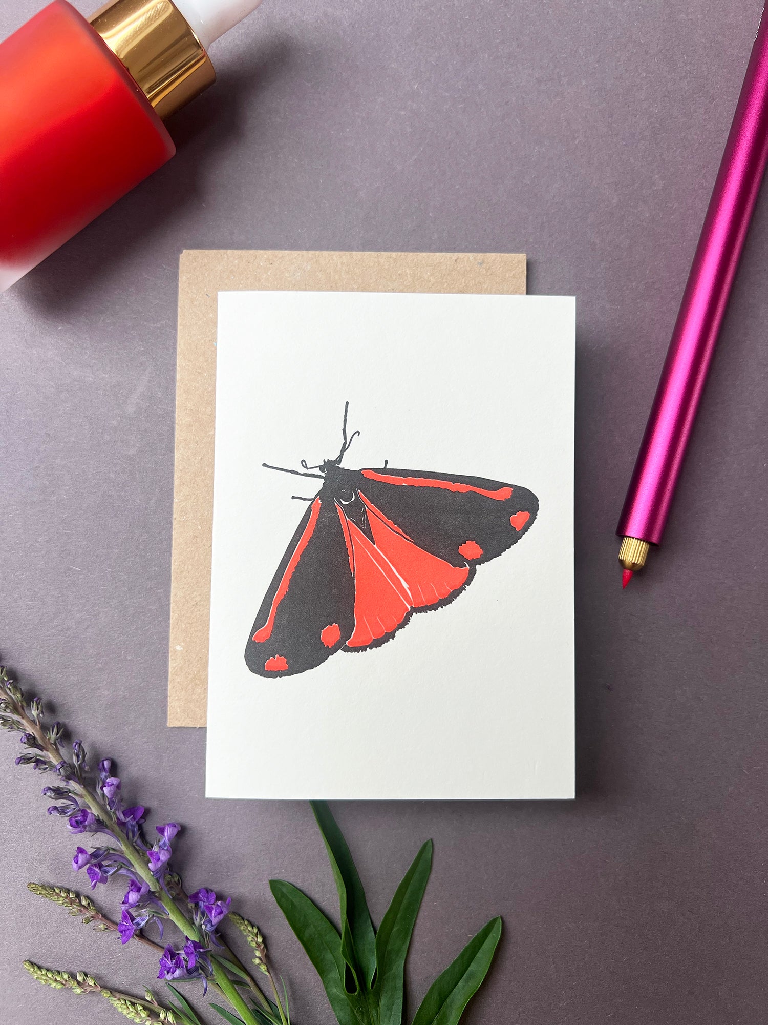 Cinnabar Moth Card