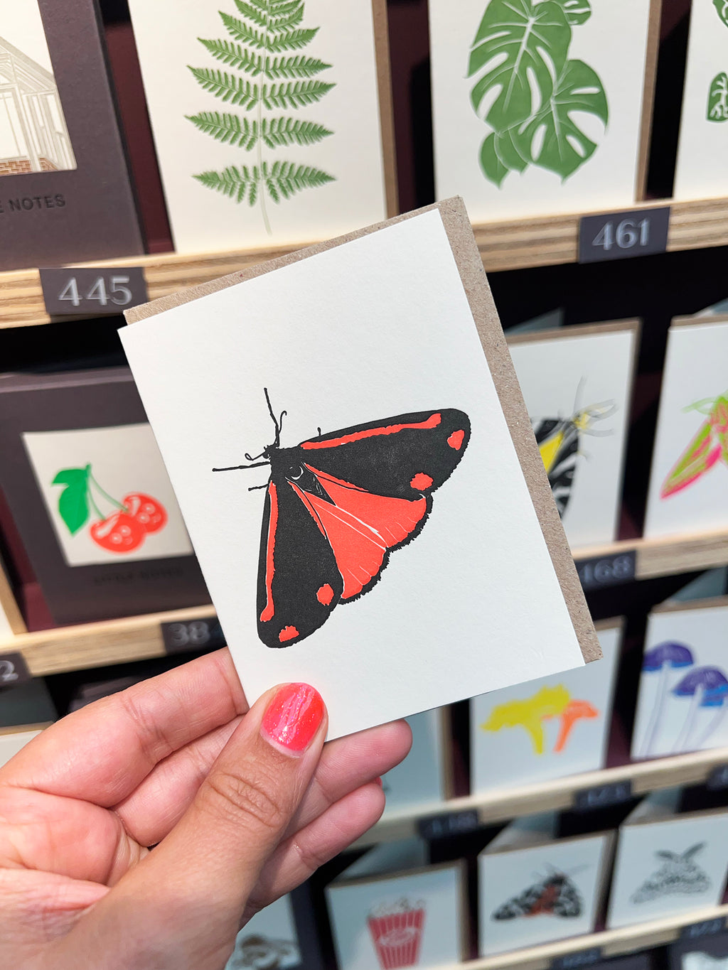 Cinnabar Moth Card