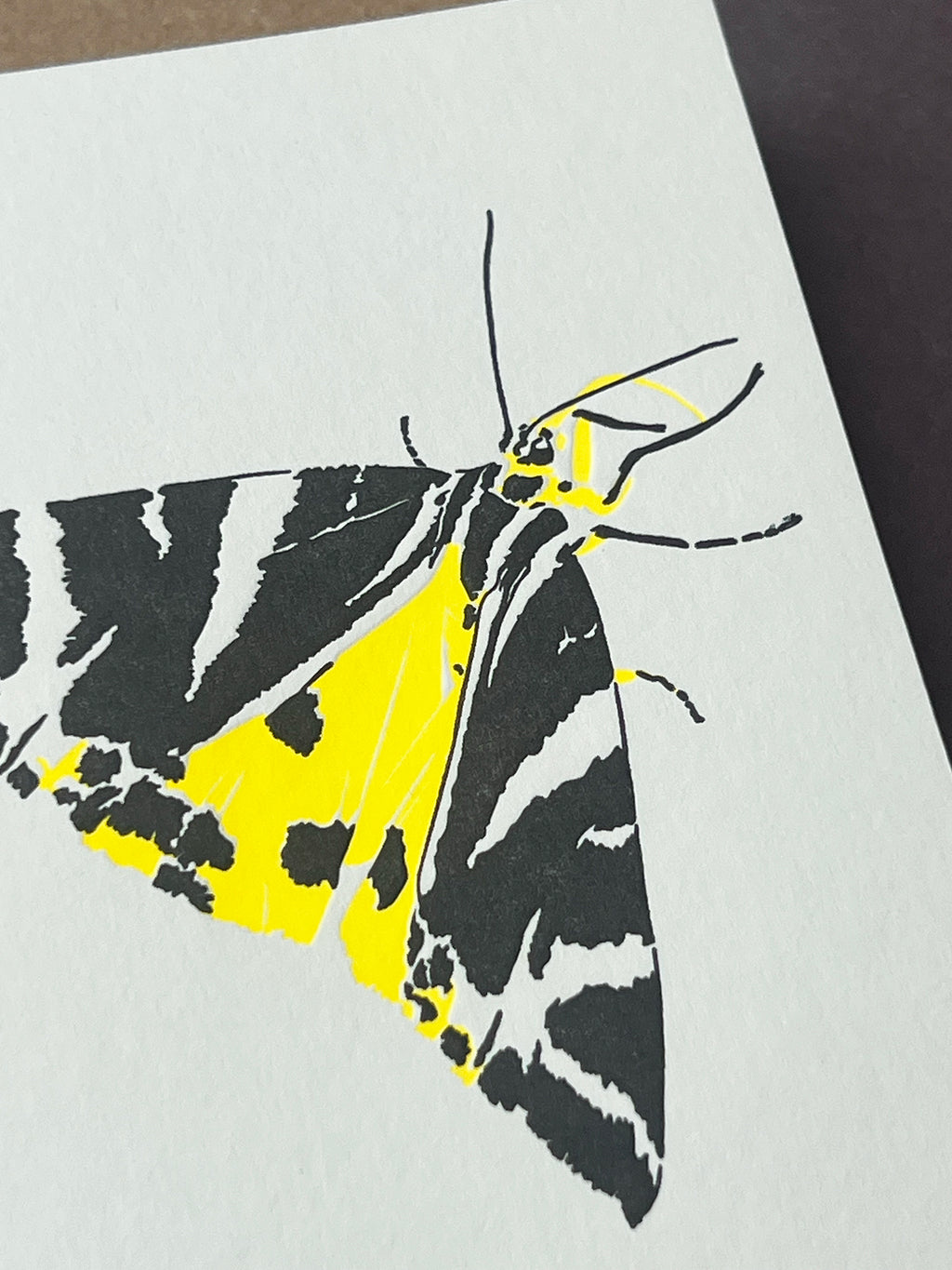 Jersey Tiger Moth Card
