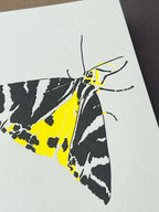 Jersey Tiger Moth Card