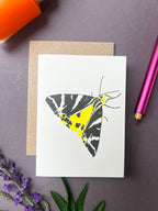 Jersey Tiger Moth Card