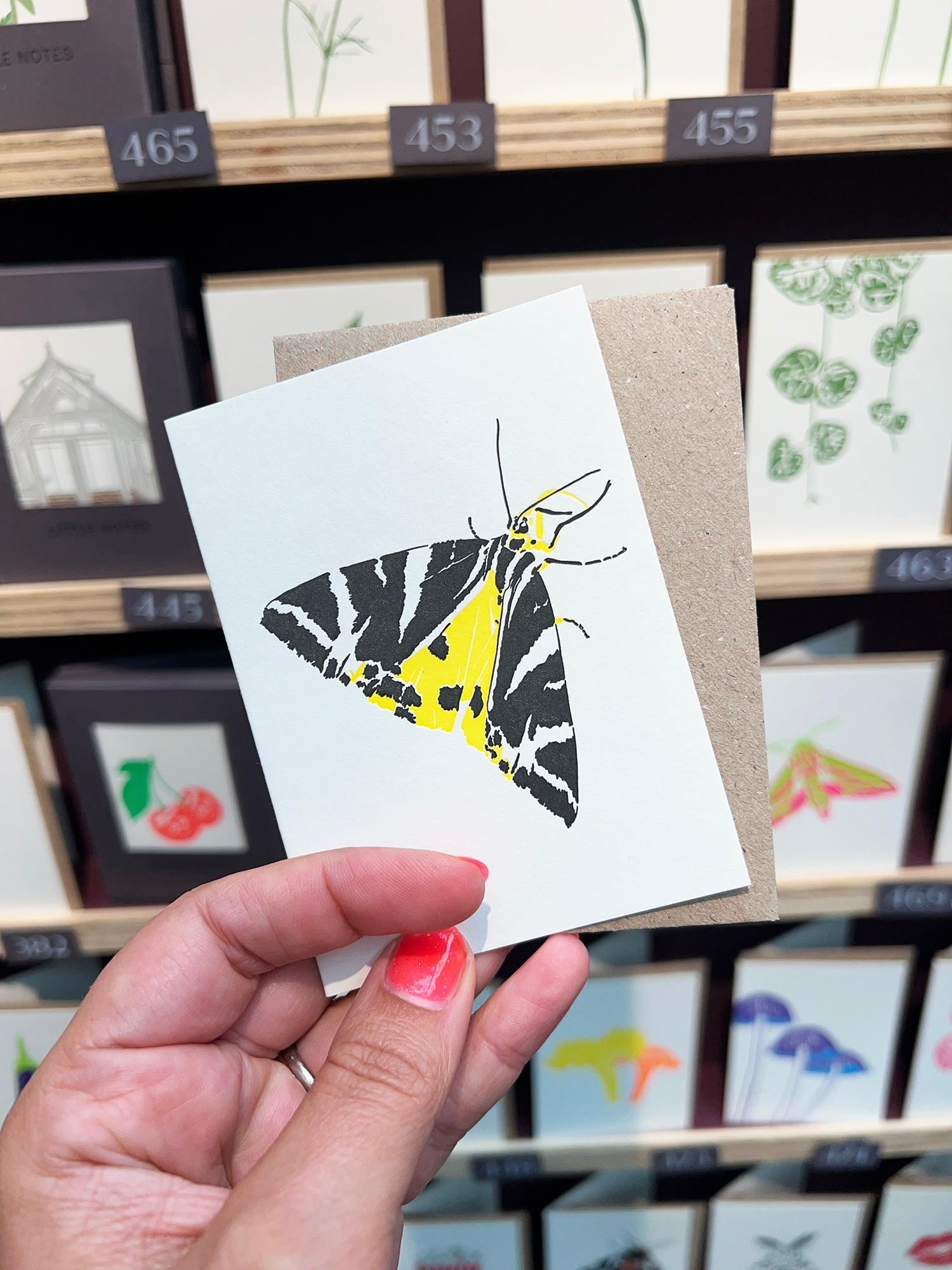 Jersey Tiger Moth Card