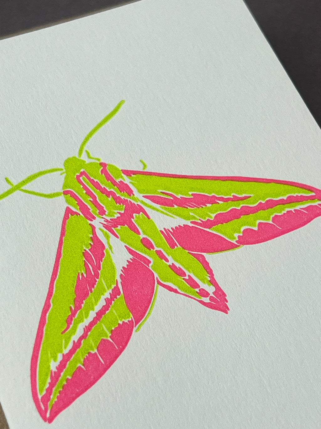 Elephant Hawk Moth Card
