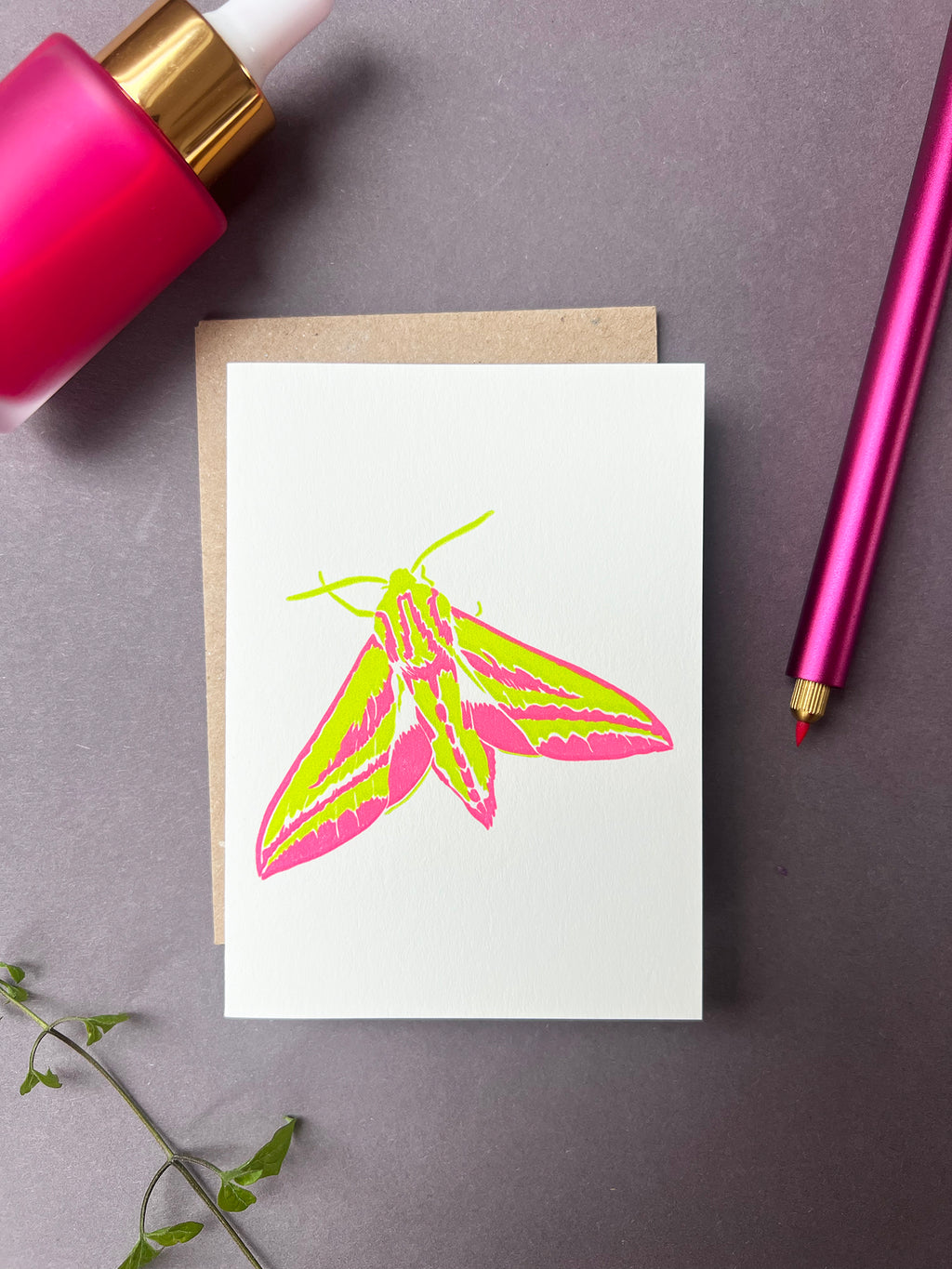 Elephant Hawk Moth Card