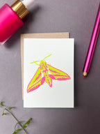 Elephant Hawk Moth Card