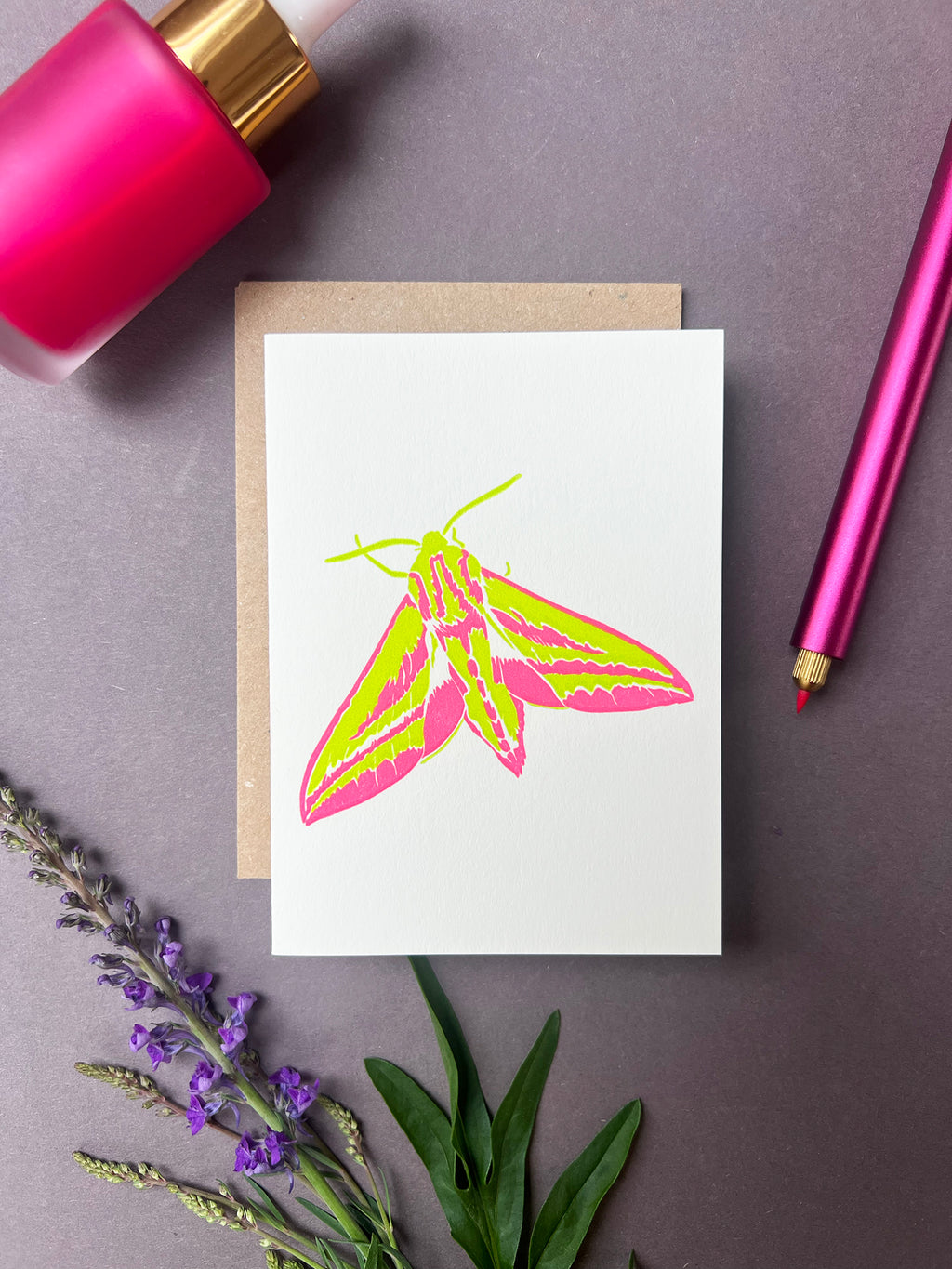 Elephant Hawk Moth Card