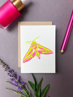 Elephant Hawk Moth Card