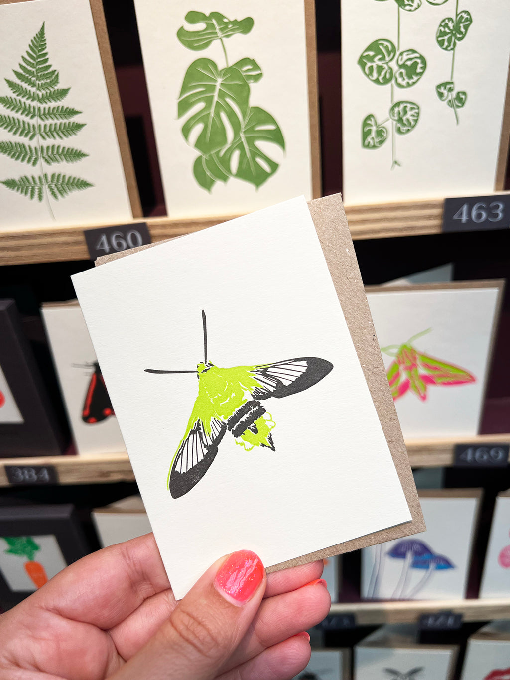 Bee Hawk Moth Card