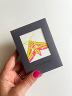 Neon Eclipse Moth Notecard Set | Set of 8