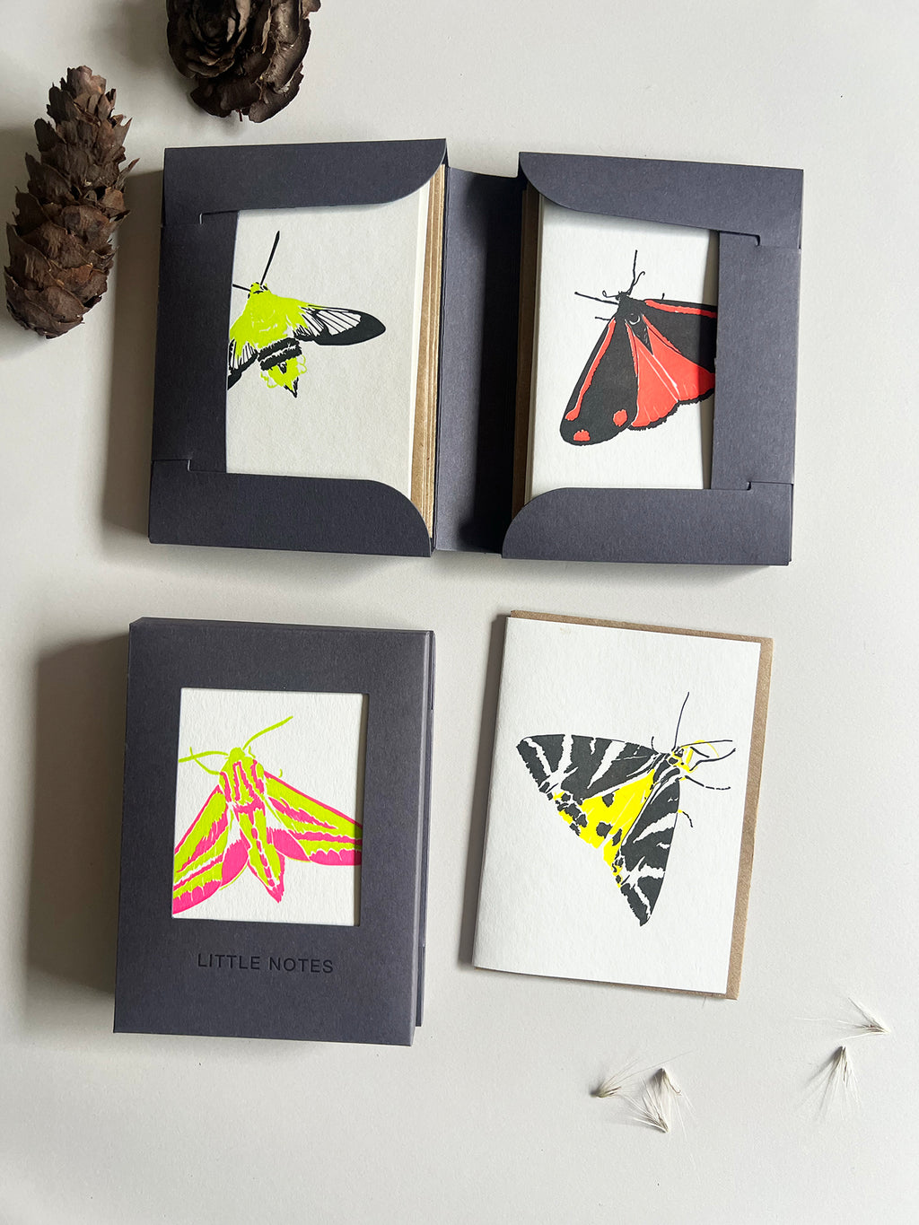 Neon Eclipse Moth Notecard Set | Set of 8