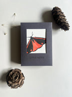 Neon Eclipse Moth Notecard Set | Set of 8