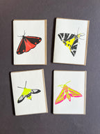 Neon Eclipse Moth Notecard Set | Set of 8