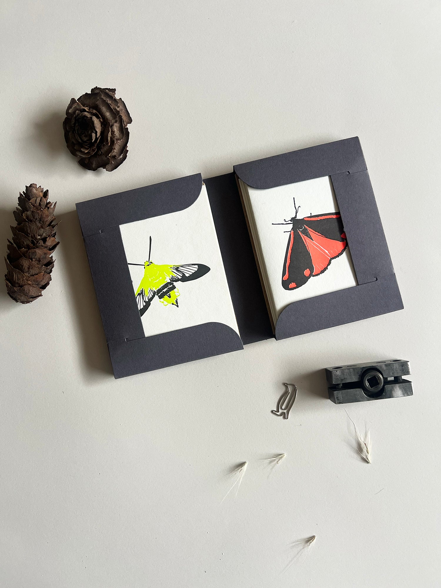 Neon Eclipse Moth Notecard Set | Set of 8