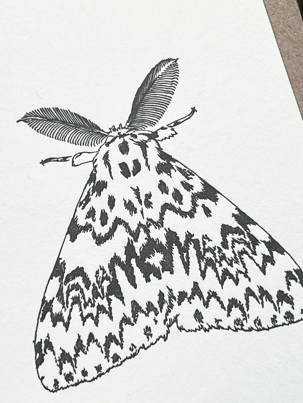 Black Arches Moth Card