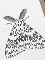 Black Arches Moth Card