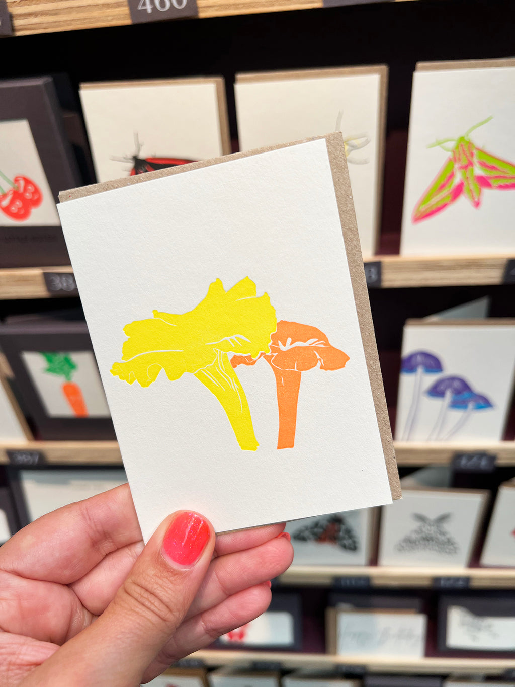 Chanterelle Mushroom Card