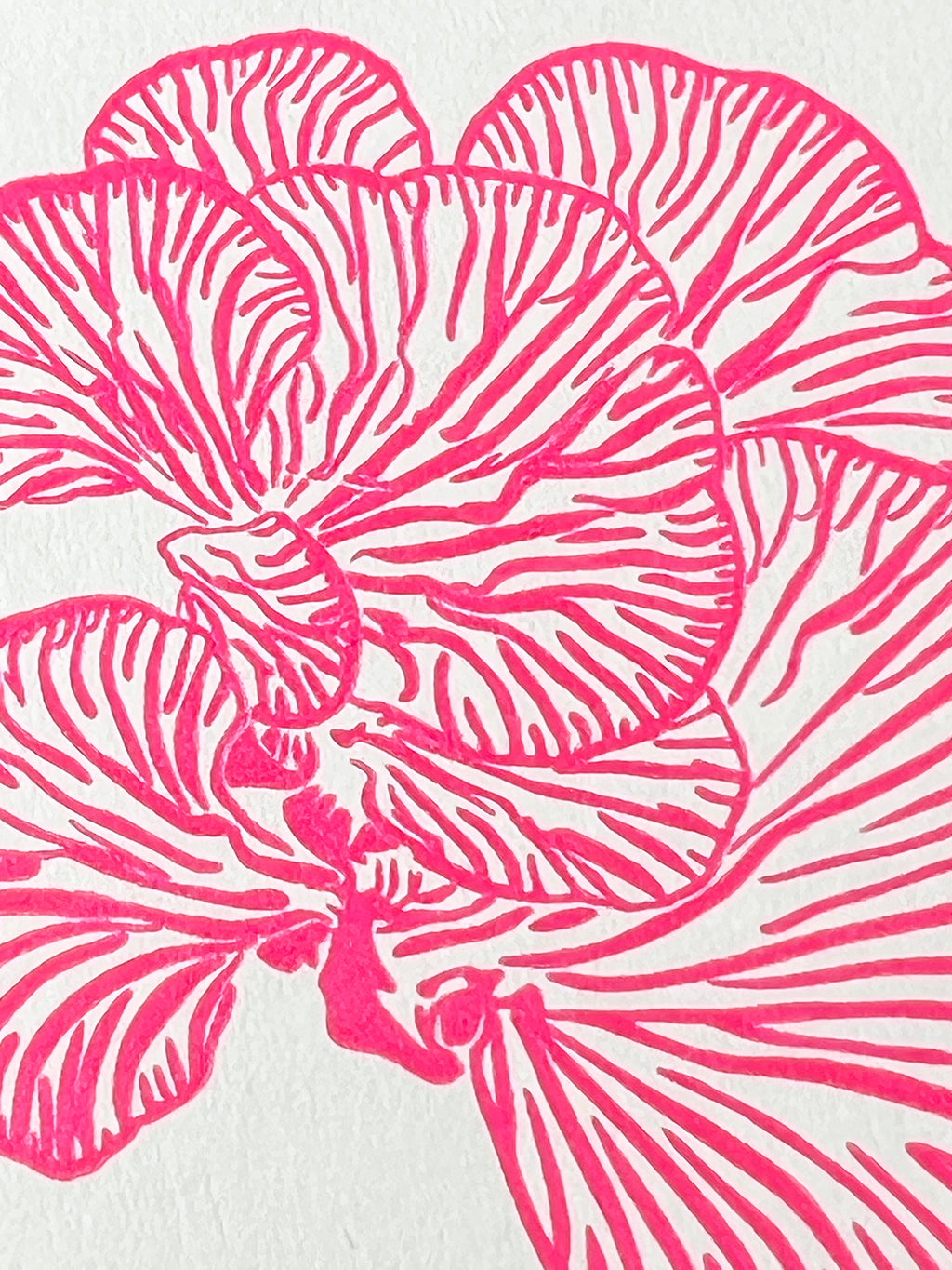 Pink Oyser Mushroom Card