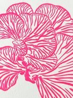 Pink Oyser Mushroom Card