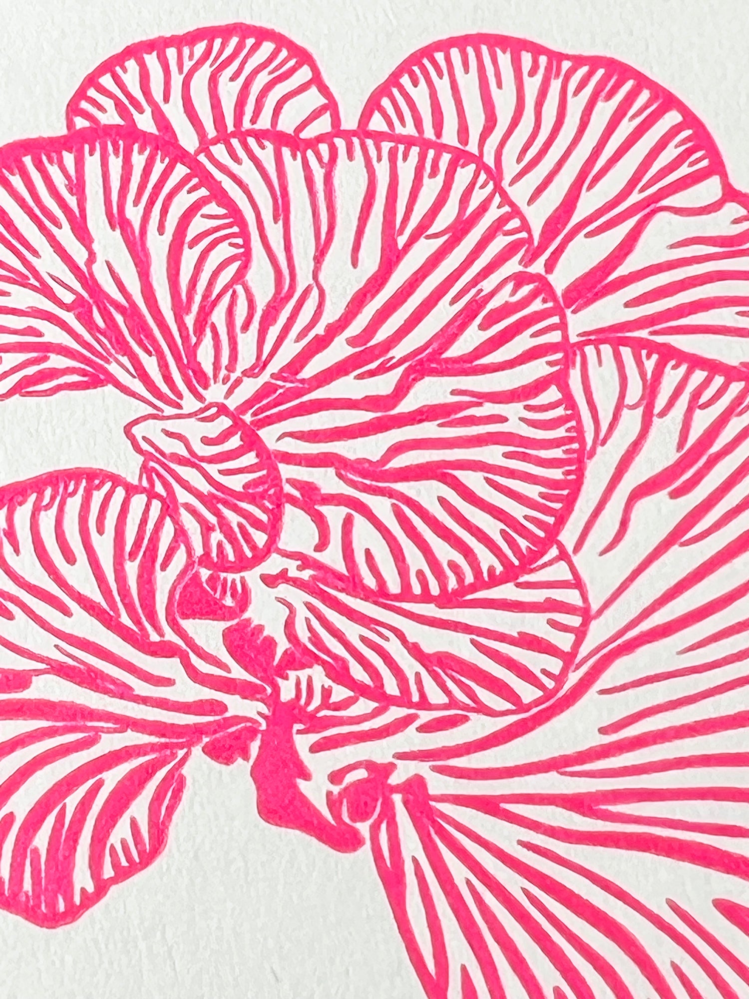 Pink Oyser Mushroom Card