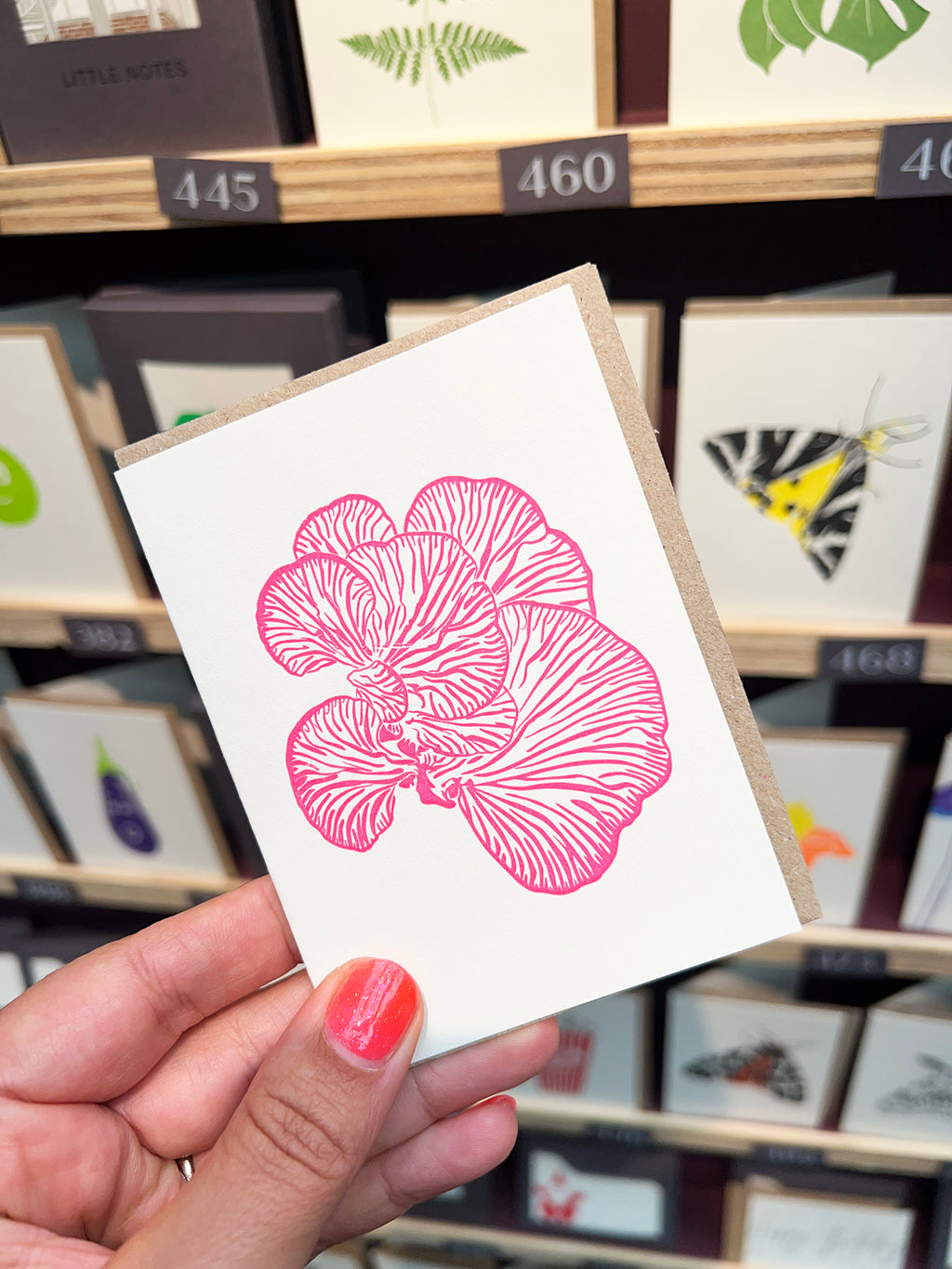 Pink Oyser Mushroom Card