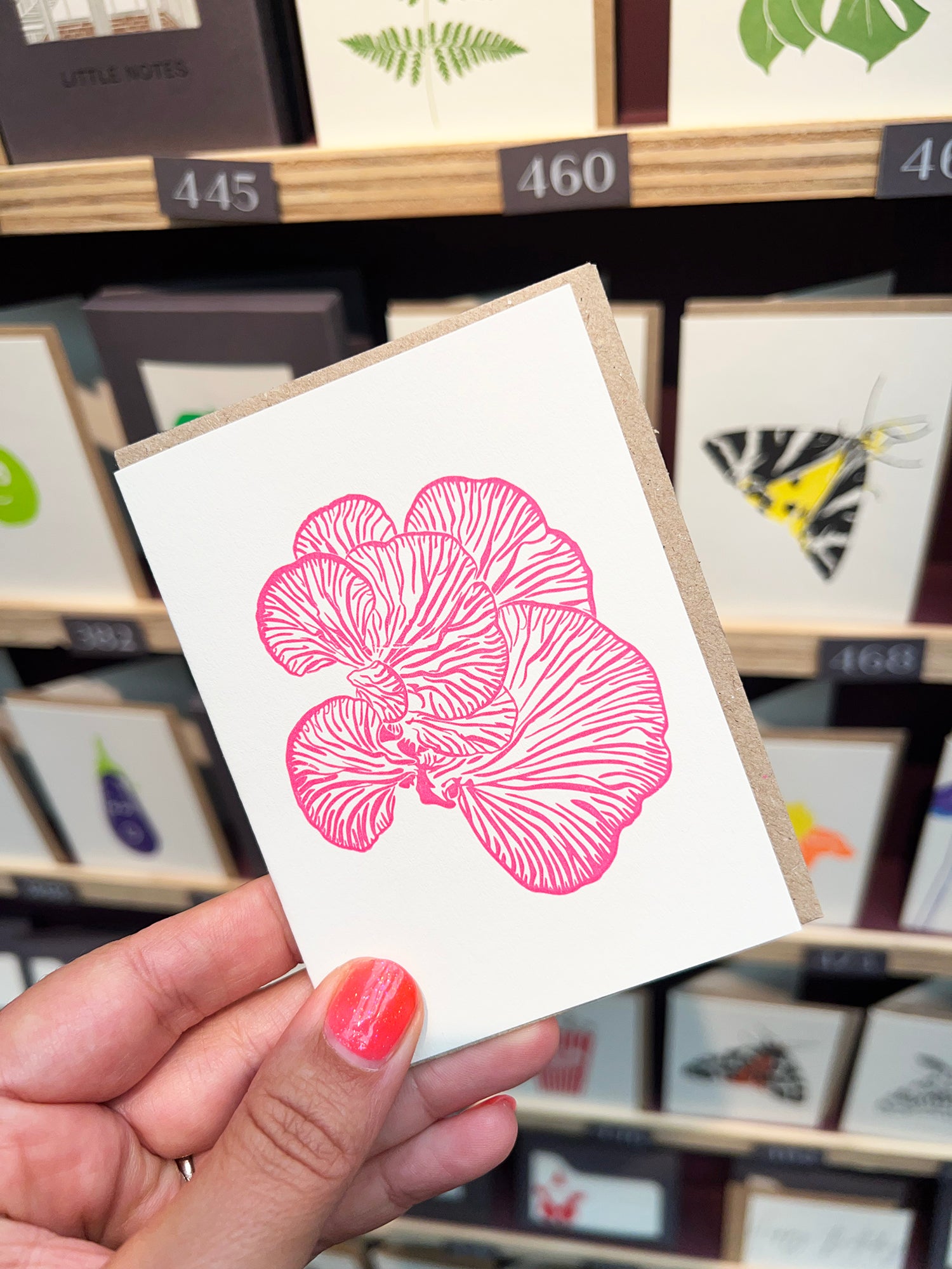 Pink Oyser Mushroom Card
