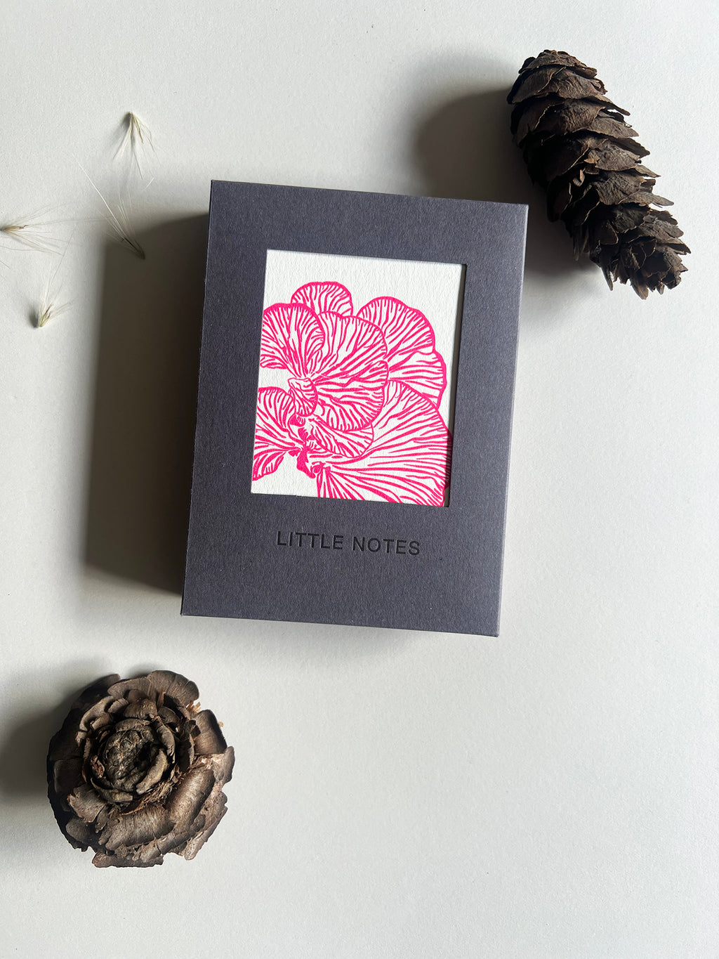 Neon Fungi Notecard Set | Set of 8