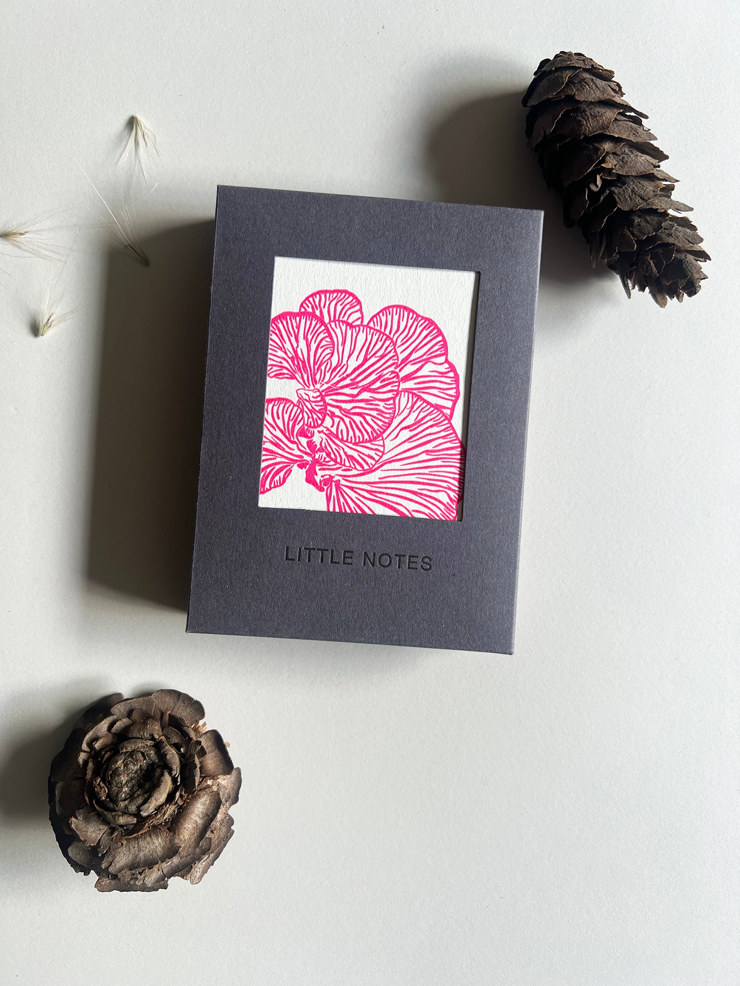 Neon Fungi Notecard Set | Set of 8