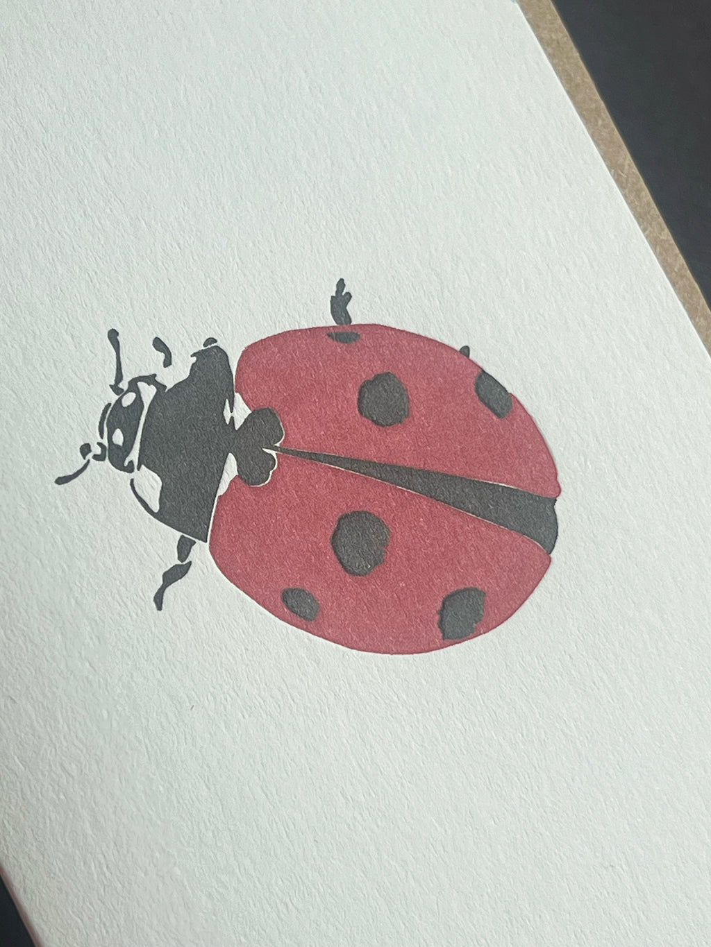 Ladybug Card