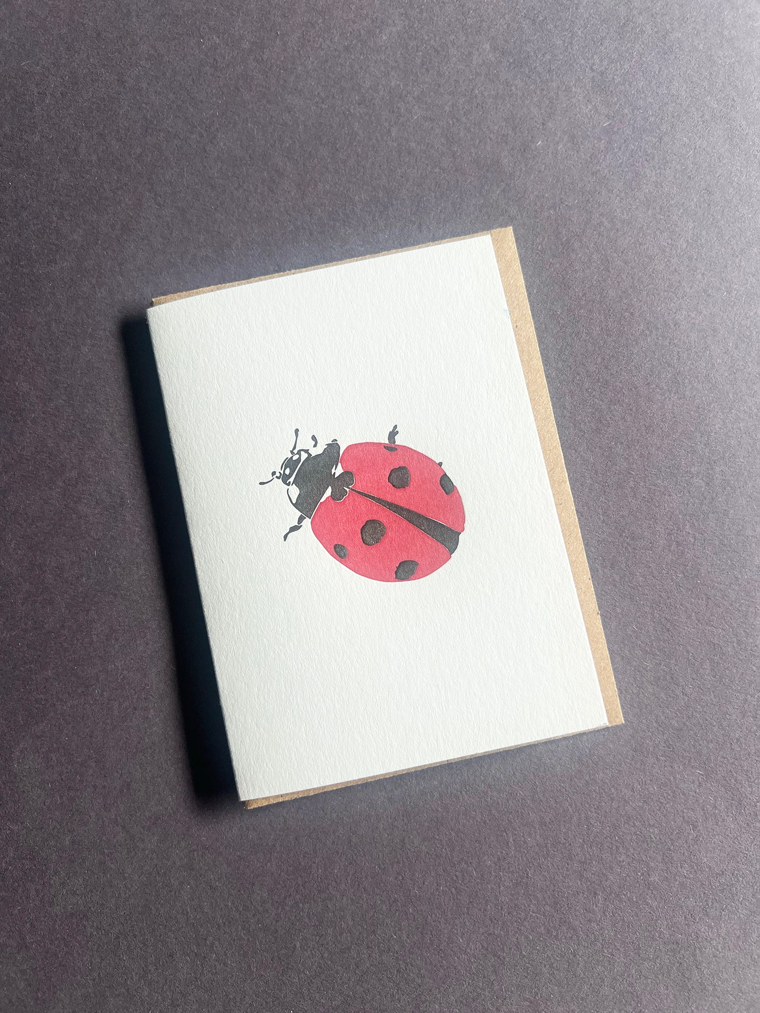 Ladybug Card
