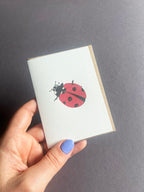 Ladybug Card
