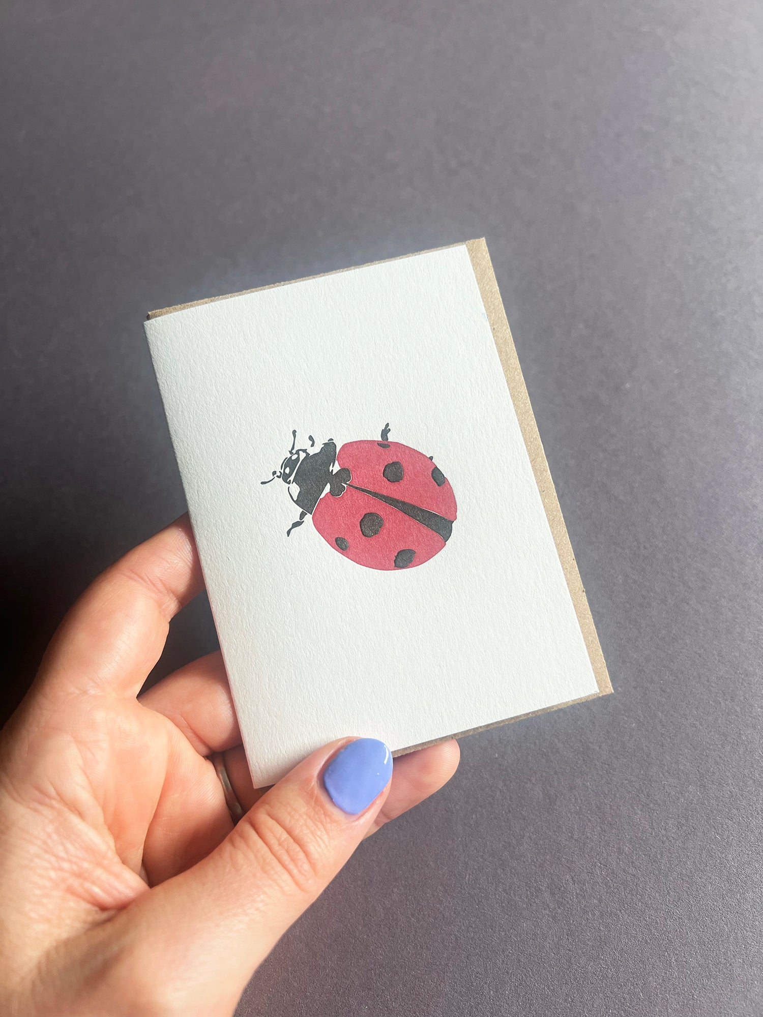 Ladybug Card
