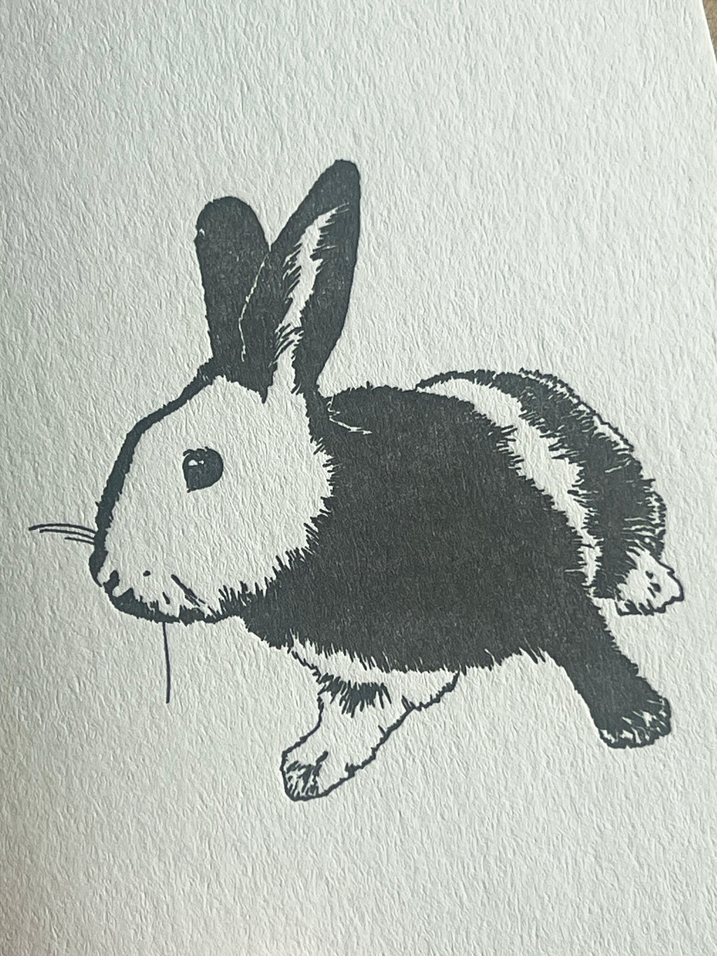 Harlequin Bunny Card