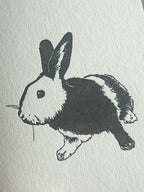 Harlequin Bunny Card