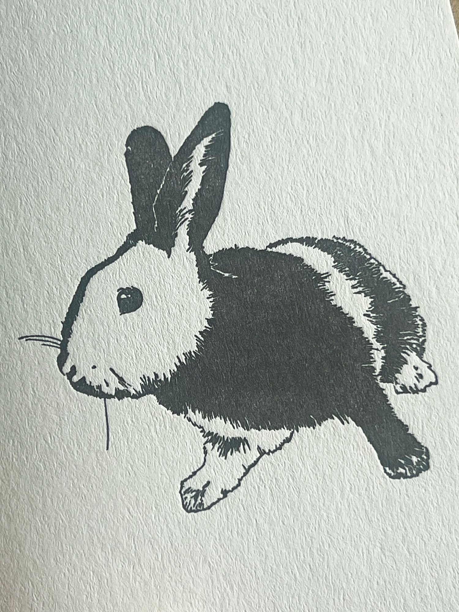 Harlequin Bunny Card
