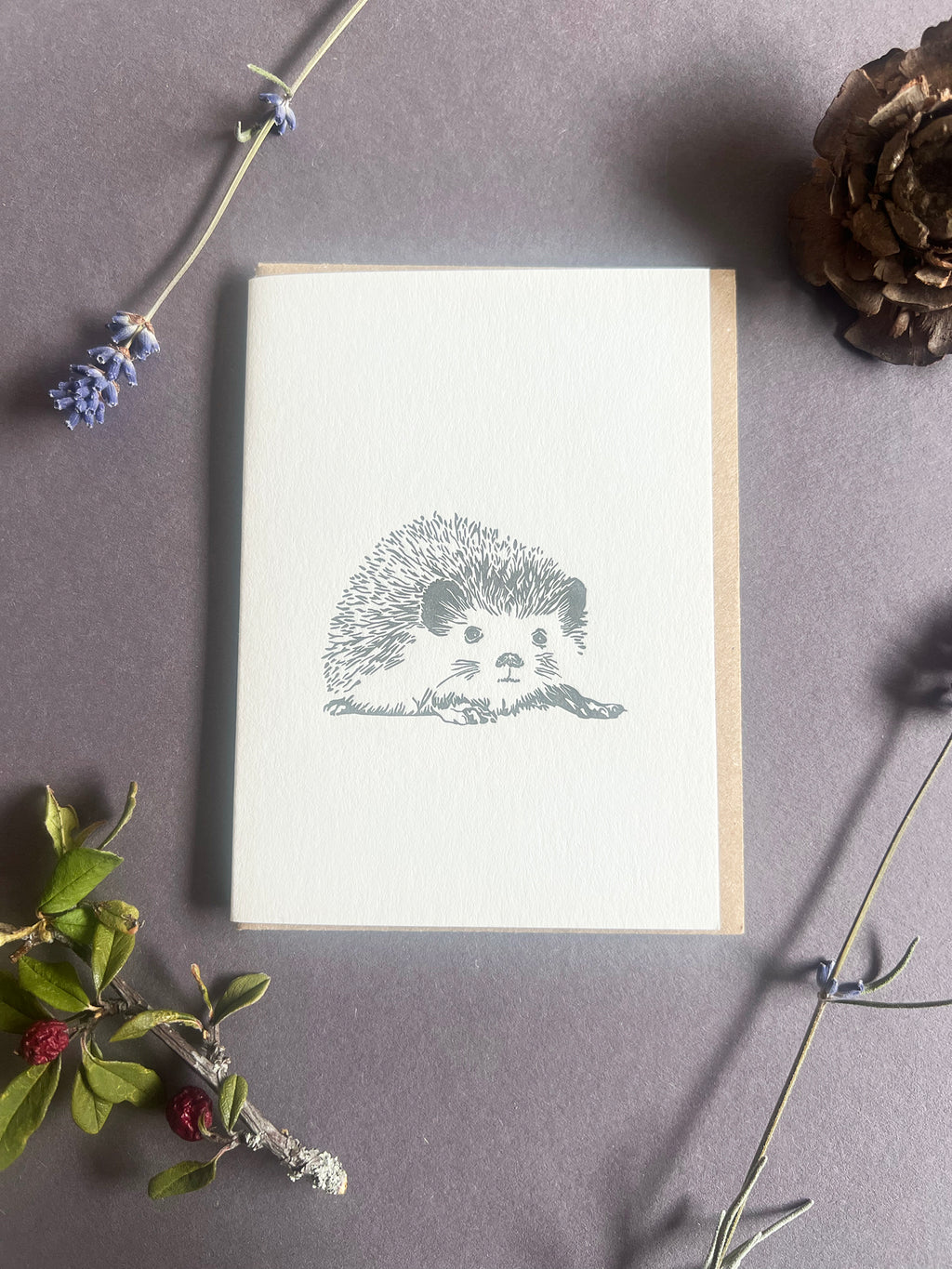 Hedgehog Card