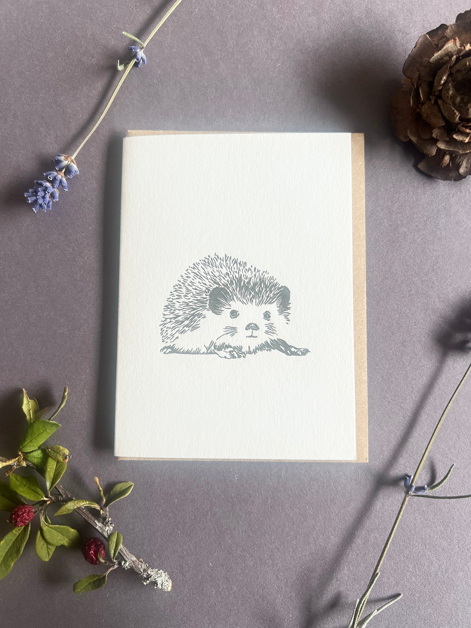 Hedgehog Card