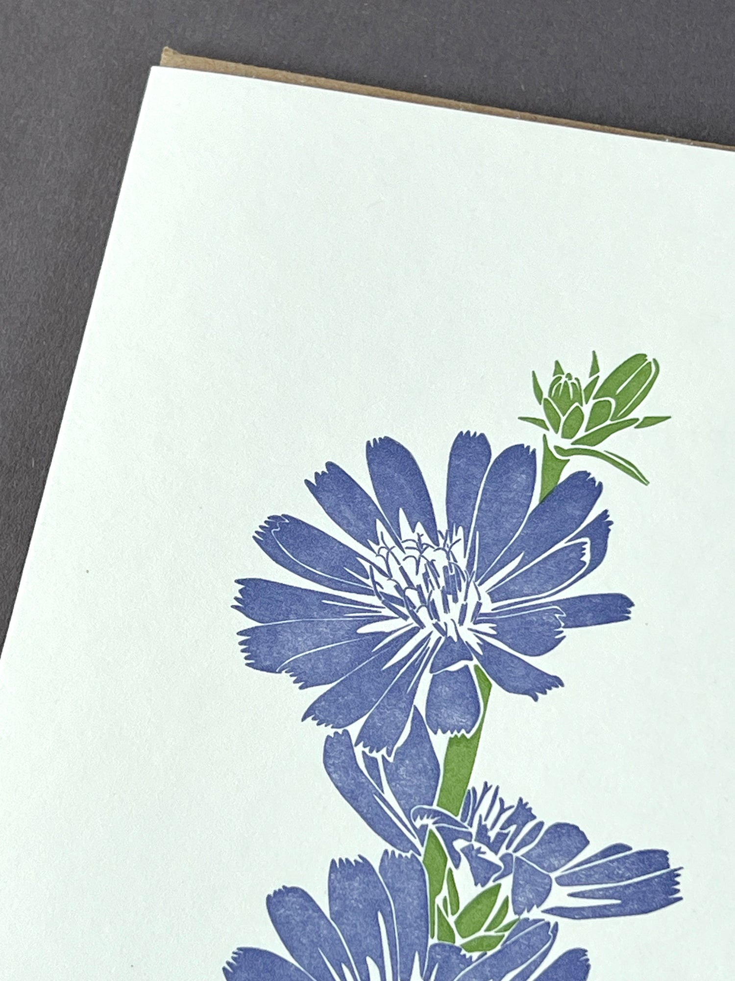 Chicory Letterpress Card