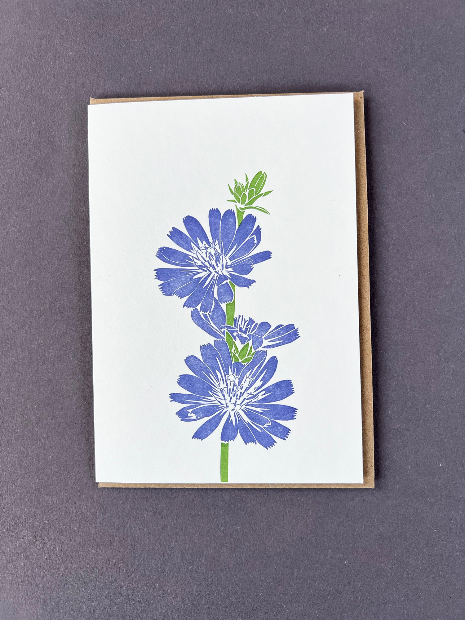 Chicory Letterpress Card