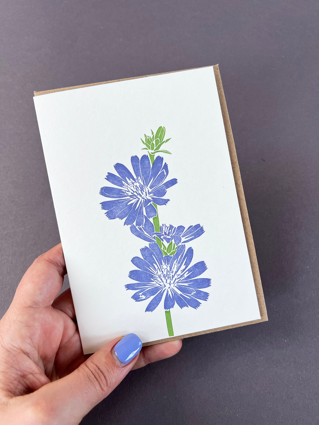 Chicory Letterpress Card
