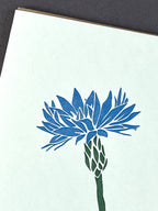 Cornflower Letterpress Card