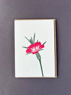 Corncockle Letterpress Card