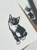 Molly Cat Correspondence Notecard Set | Set of 10