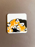 Red Panda Coaster