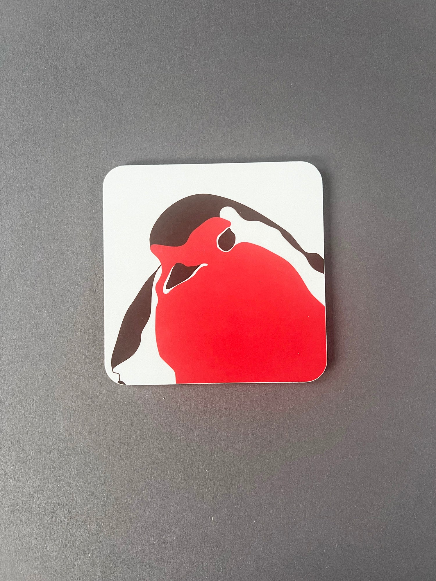Robin Coaster