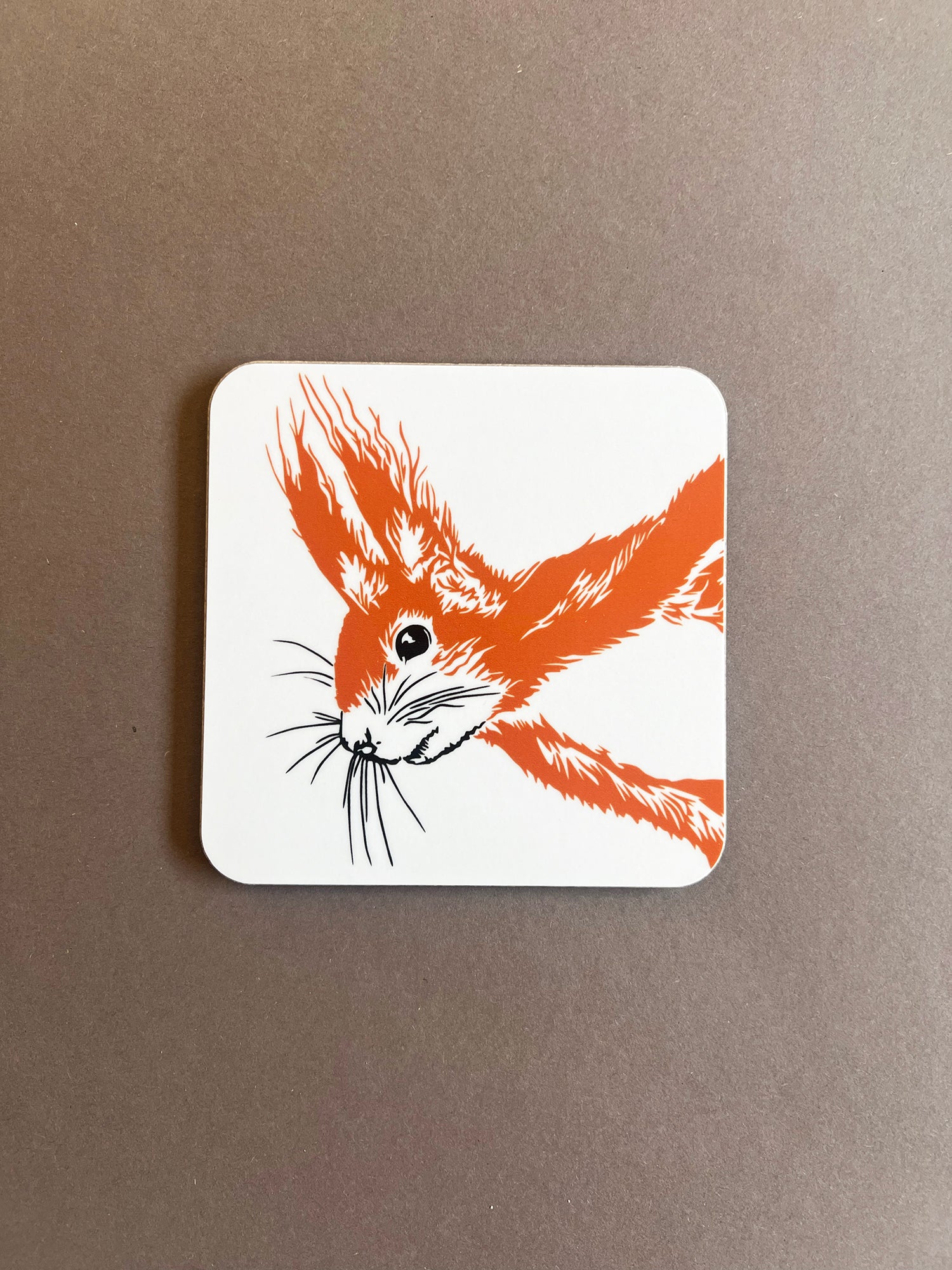 Squirrel Coaster